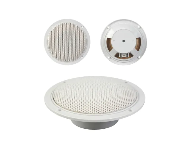 Set Van Twee Waterbestendige Konische 5 Inch Luidsprekers 80w