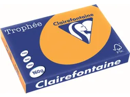 Trophée Pastel gekleurd papier A3 160 gram 250vel Oranje