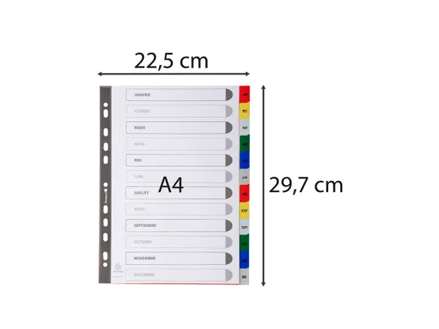 Bedrukte Tabbladen A4 12-delig Jan-dec 11-gaats Frans Assorti