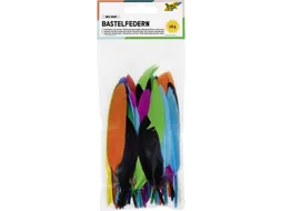Indianen veren Folia assorti