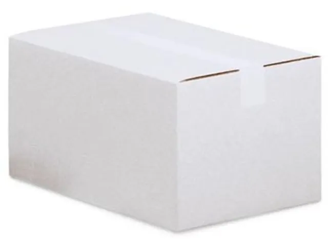 Verzenddoos enkele golf 3 mm wit 305 x 220 x 80 mm