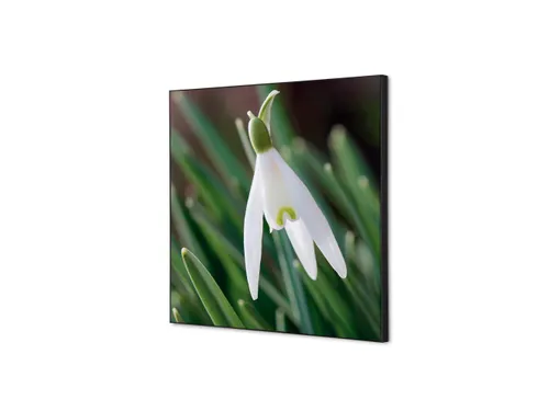 Wanddecoratie Textiel Set 40x40cm Witte Bloem Sneeuwklokje