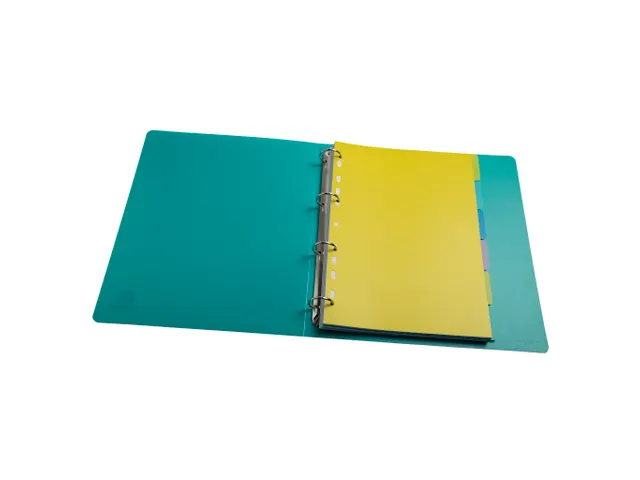 Tabbladen PP FOREVER YOUNG A4 6 tabs