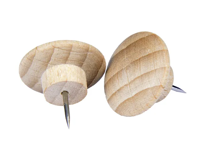 Pushpins Legamaster hout 25stuks