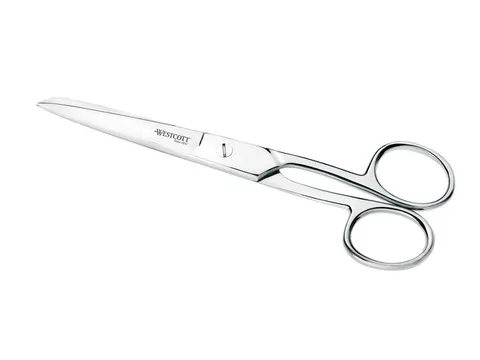 Schaar Westcott 13cm RVS glanzend