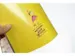 Cahier Beach Happy A4 ligné 2pces PP 70gramme 80pages avec marge. FSC