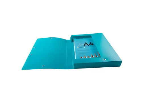 Klasseerdoos rug 40m m PP Forever Young