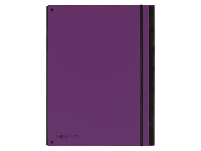 Sorteermap Pagna Trend 7 vaks A4 Pp Lila