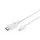 Digitus Displayport Cable - mini Dp 2m