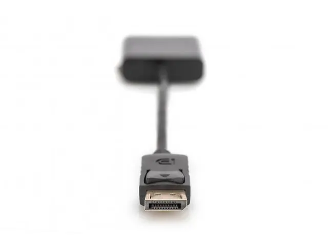 DisplayPort-adapterkabel type DP DVI (24+5) mannelijk/vrouwelijk 0,15m