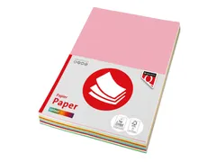 Kopieerpapier Quantore Colour A4 80gr 10 kleuren x 250 vel