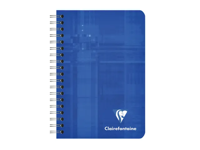 Notitieboek Clairefontaine A7+ 95x140 ruit 5x5 100blz 90gr assorti
