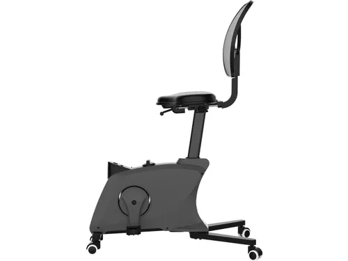 Bureaufiets Ross