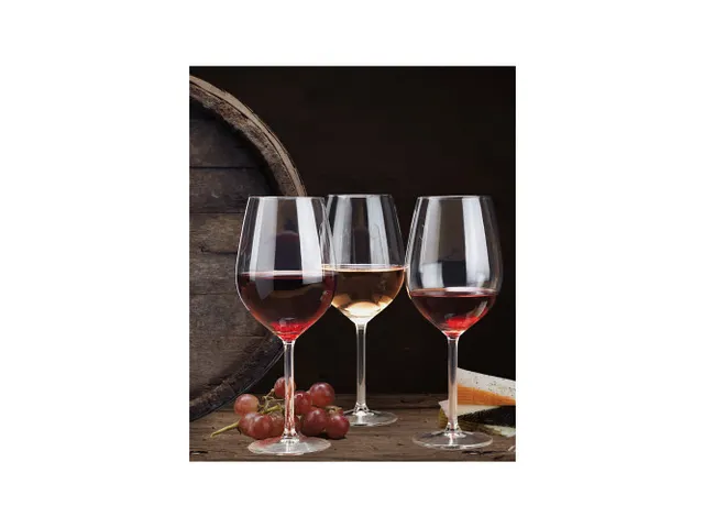 Libbey Fortius Wijnglas 51cl, doos 6 stuks