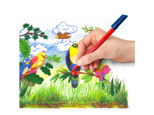 Kleurstift Staedtler Noris 326 kartonnen etui 10 kleuren