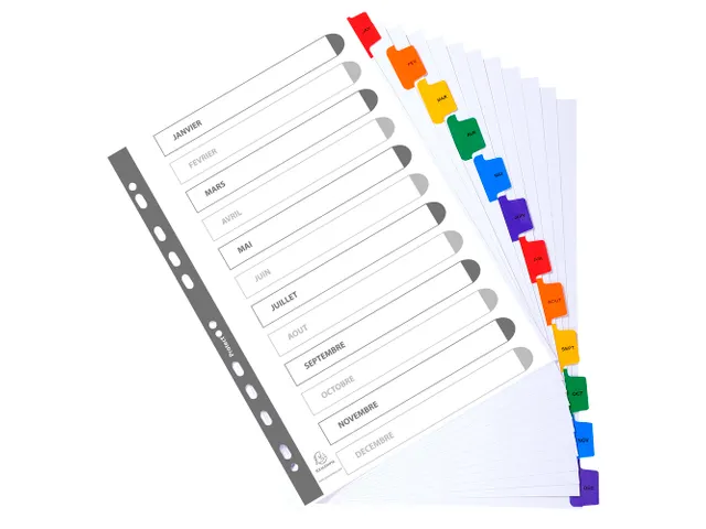 Tabbladen Karton 160 Gram A4 index jan/dec wit