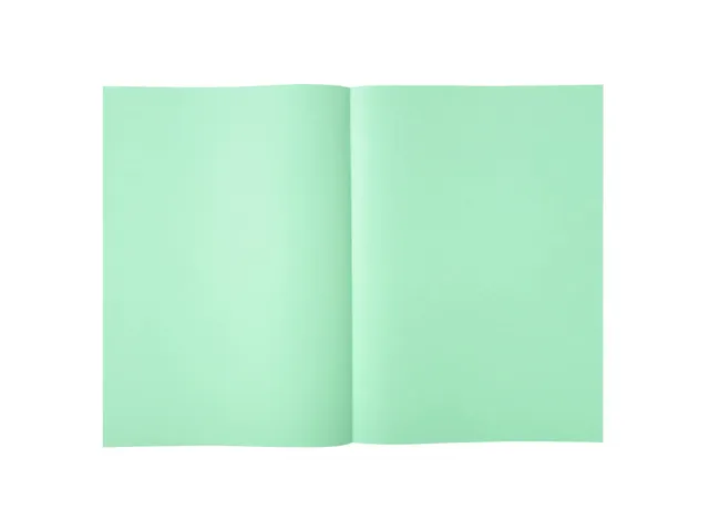 Pak van 250 inlegmappen SUPER 60 22x31cm Lichtgroen
