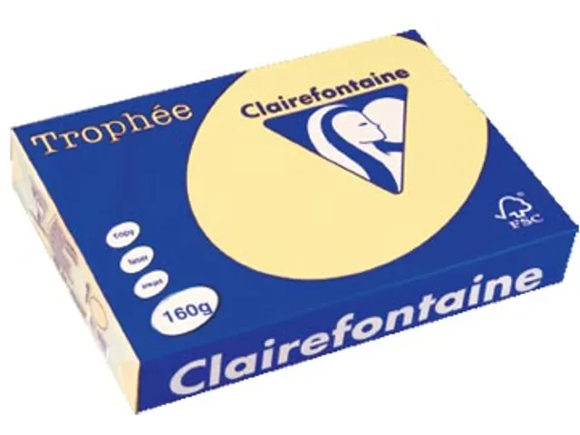 Trophée Pastel gekleurd papier A4 160 gram 250vel Kanariegeel