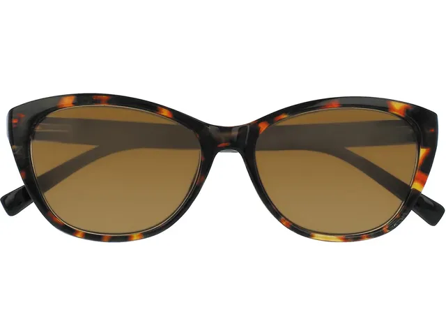 Zonnebril Sol Tom Brown bruin