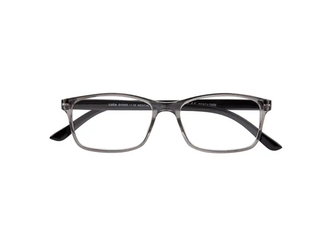 Leesbril I Need You +2.50 dpt Luca grijs