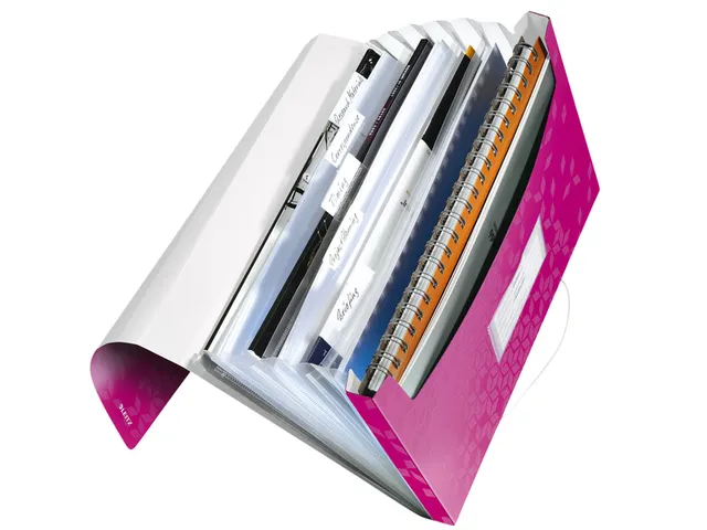 Trieur Leitz A4 WOW PP 6 Compartiments Rose