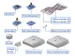 Otto Expansion Interact Builder Programmeerbare Educatieve Robotica Ui