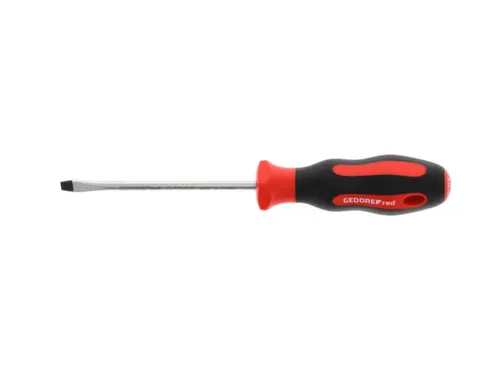 R38105519 2C schroevendraaier sleuf 5,5mm 1x100mm
