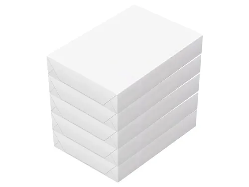 Kopieerpapier Canon White label Copy A4 80gr pak 500vel doos a 5 pak