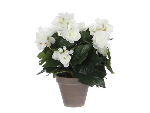 Kunstplant Mica Begonia wit in pot Stan grijs 25x30cm