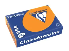 Trophée Intens A4 210g 250 vel feloranje
