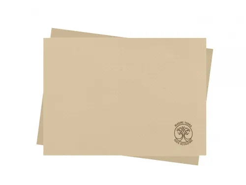 Placemat 30x40cm I-0018N Infibra Madre Terra Placemat 2000st Beige