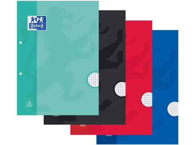 Cursusblok Oxford School A4 2-gaats ruit 5mm 100vel assorti