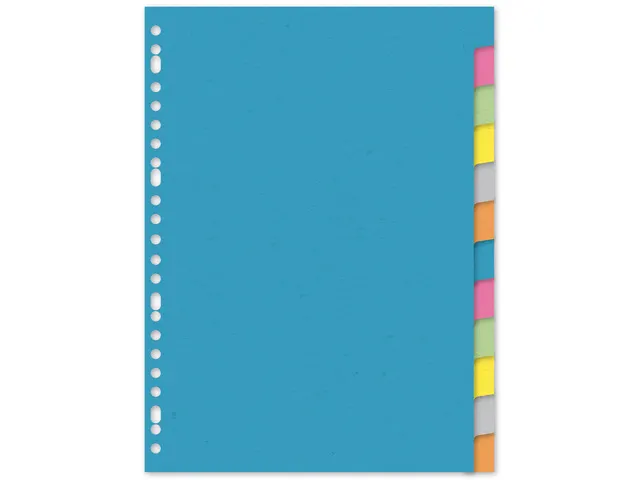 Tabblad Kangaro A4 blanco karton 220gr assorti 23-gaats 12-delig