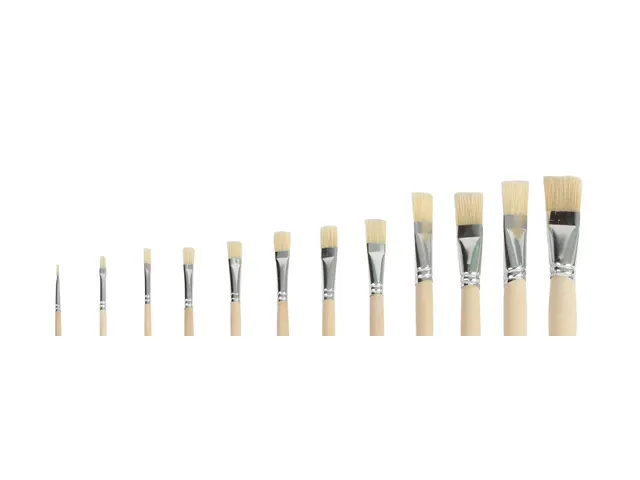 Kwast Qrea varkenshaar set à 12 breedtes