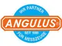Angulus logo