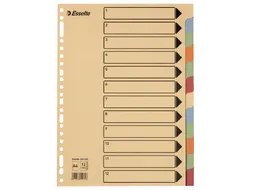 Tabbladen Esselte Premium A4 12-delig karton 23-rings assorti