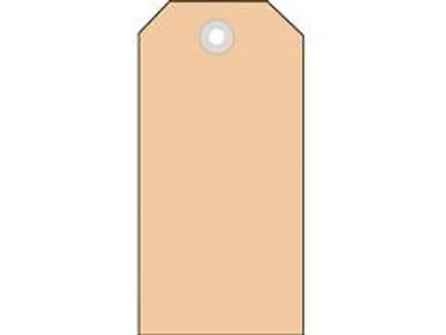 Herma 6012 Hanglabel 35x60mm Bruin karton met plastic oogje 1000 stuks