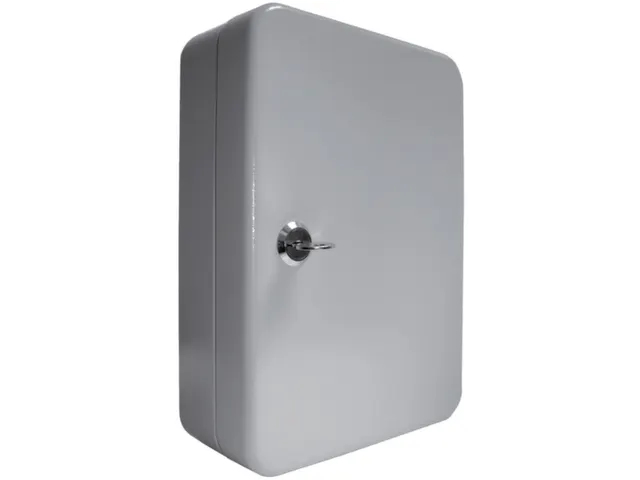 Sleutelkast Staalplaat Hxbxd 250X180X80Mm 20Haakjes Ral7035