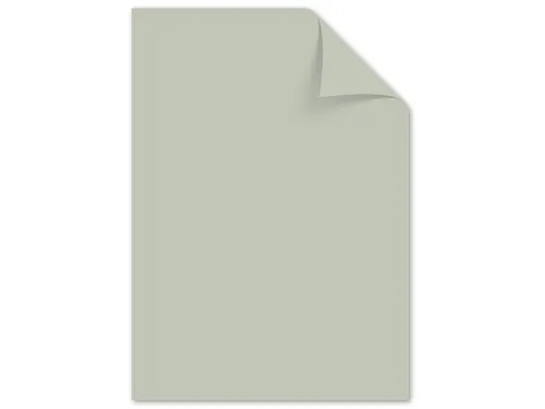 Papier Kangaro A4 160 grams pastel assorti pak a 50 vel