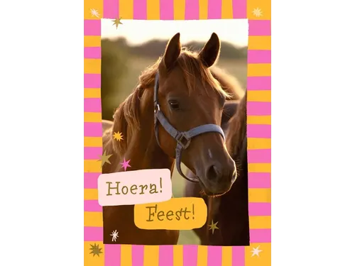 Wenskaart Hallmark uitnodiging paarden pak à 6 stuks