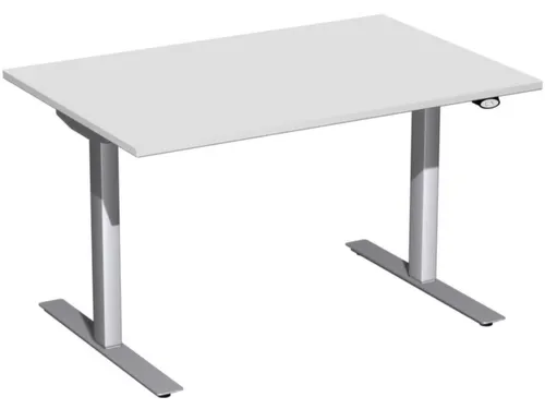 Elektrisch in hgte vst. zit-sta-bureau lichtgrijs 650-1250x1200x800mm