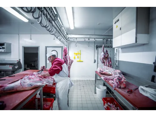 Vikan Hygiene ronde werkborstel harde vezels Ø110mm oranje