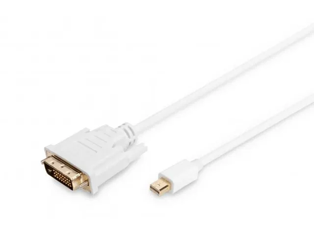 DisplayPort-adapterkabel type mini DP DVI(24+1) St/St 2m Wit