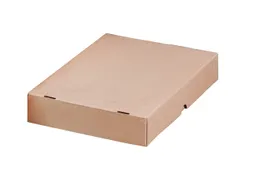 Paraatdoos Raadhuis hersluitbaar 305x215x50mm bruin 10 stuks