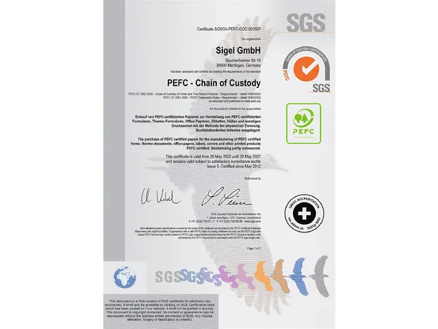 Carnet Conceptum A5 MINT GREEN ligne 194pag 80gr SC
