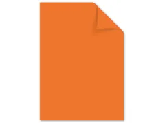 papier Kangaro A4 160 gram pak a 50 vel oranje