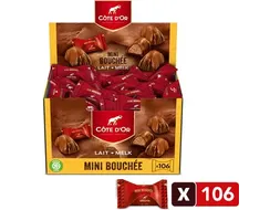 chocolade mini Bouchée melk praliné 106 stuks