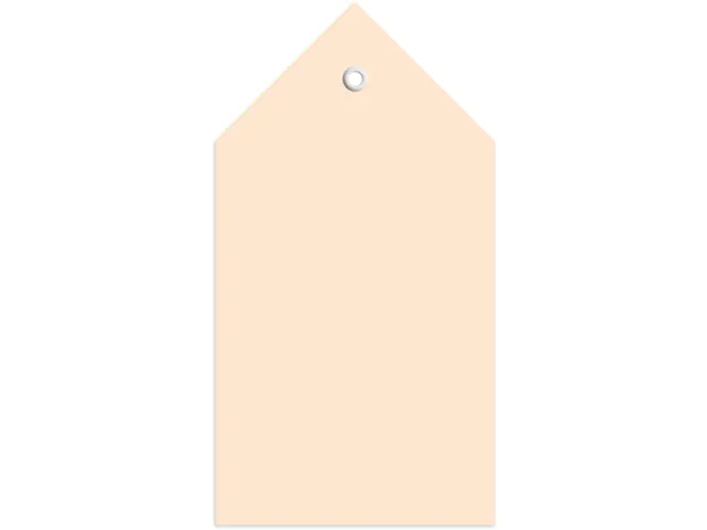 HERMA 6070 Hanglabel 80x150mm Bruin karton met oogje 250 stuks