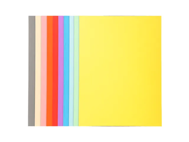 Pak van 100 dossiermappen FOREVER 250 100% Gerecycleerd Assorti