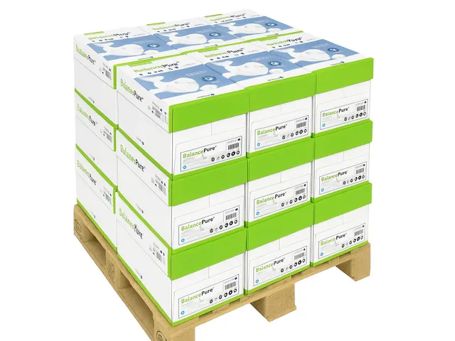 Kopieerpapier BalancePure Fsc A4 80 Gram Wit Pallet